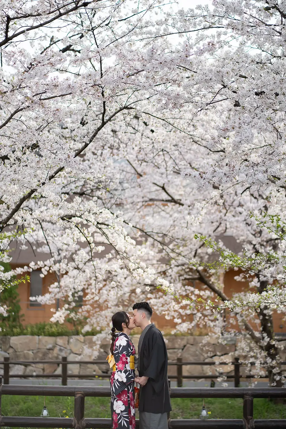 Two people in beautiful kimonos walking along a river lined with blooming cherry blossoms in Kawagoe.