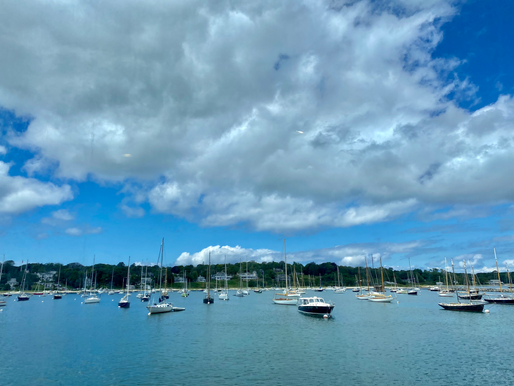 Shaped by Martha’s Vineyard