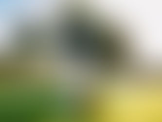 Turtlebox: Born on the Water, Built for the Outdoors