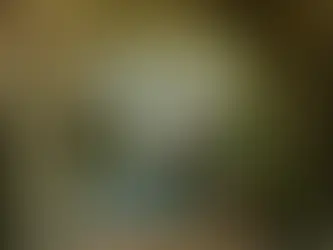 The Inner Circle: A Guide to Louisville