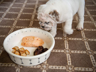 Editor's Travel Picks: Christmas in the Carolinas