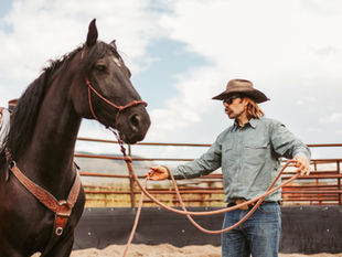 A Conversation with the Founder of Heroes and Horses