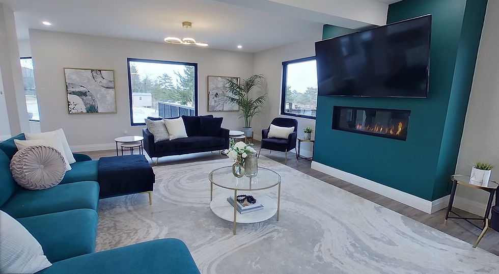 Staged Living room