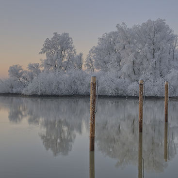 Winter Views_edited.jpg