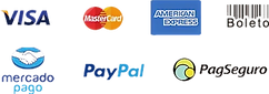 pt-pay_edited.png