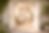 6C9587FF-F9FE-4879-AF5B-B755E7C72AAE.png
