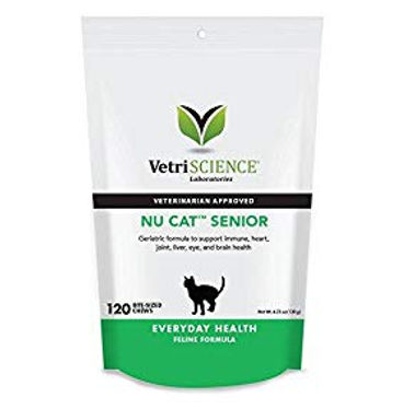 nucat senior.jpg