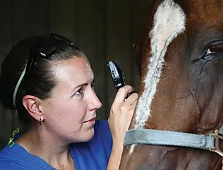 Image by Werzk Luuuuuuu