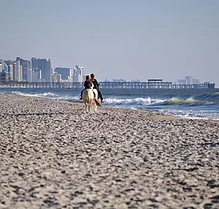 Image by Werzk Luuuuuuu