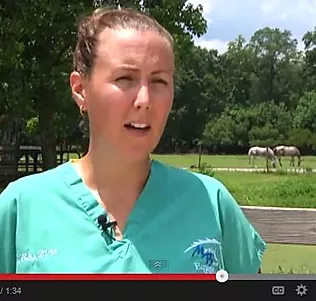 Image by Werzk Luuuuuuu