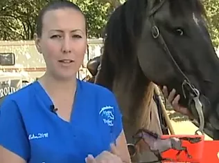 Image by Werzk Luuuuuuu