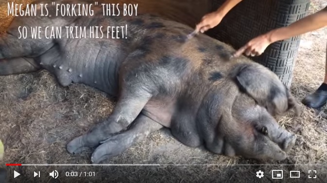 Image by Werzk Luuuuuuu