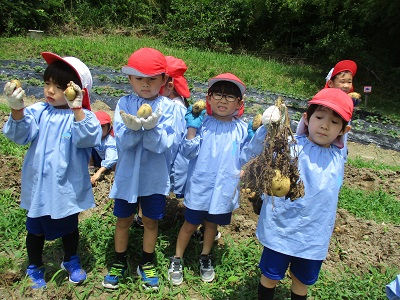「おもた～い！」じゃがいも掘り
