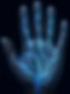 palm vein.png