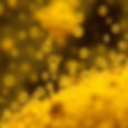 mycotoxin.jpg
