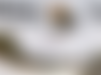 SUNDAY IN THE PARK 2023 – EPISODIO 5