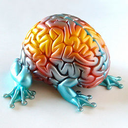 Neuroplasticity and Brain Training