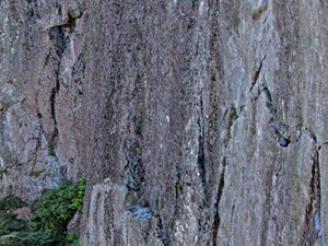 Flow Interview with Rock Climber Hazel Findlay