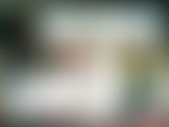 THE IMPALER MAG PRESENTA – GANG ENFORCEMENT –