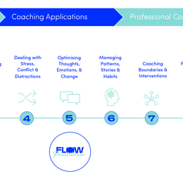 The Training Journey of a Flow Coach