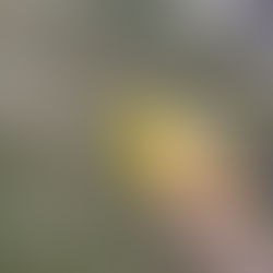 Chris McDougall - World Record Base Jumper, Skydiver