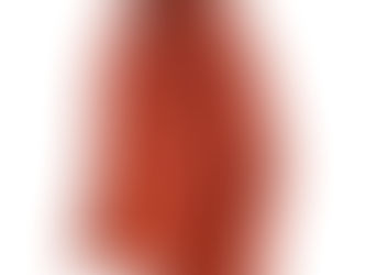 patagonia presenta prendas complatamente libres de PFC