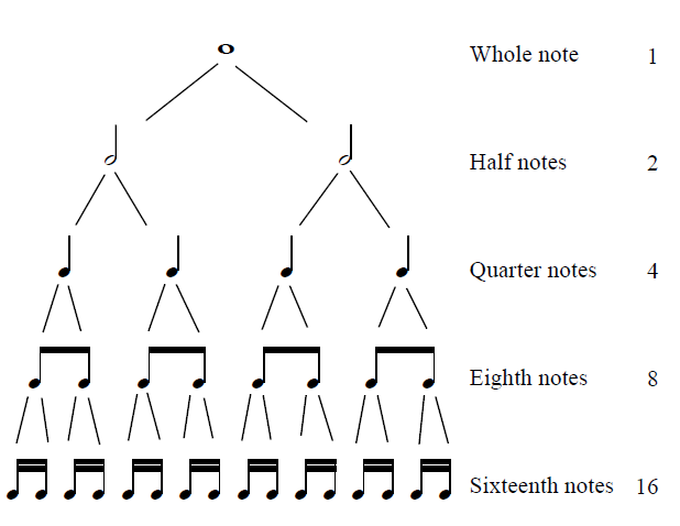 A chart illustrating note values from whole notes to sixteenth notes, providing a breakdown of rhythmic durations for drumming.