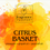 Thumbnail: Citrus Basket Bath Bomb