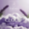Cloud9 NEW BB