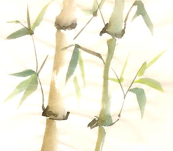 Bambu a color_edited.jpg