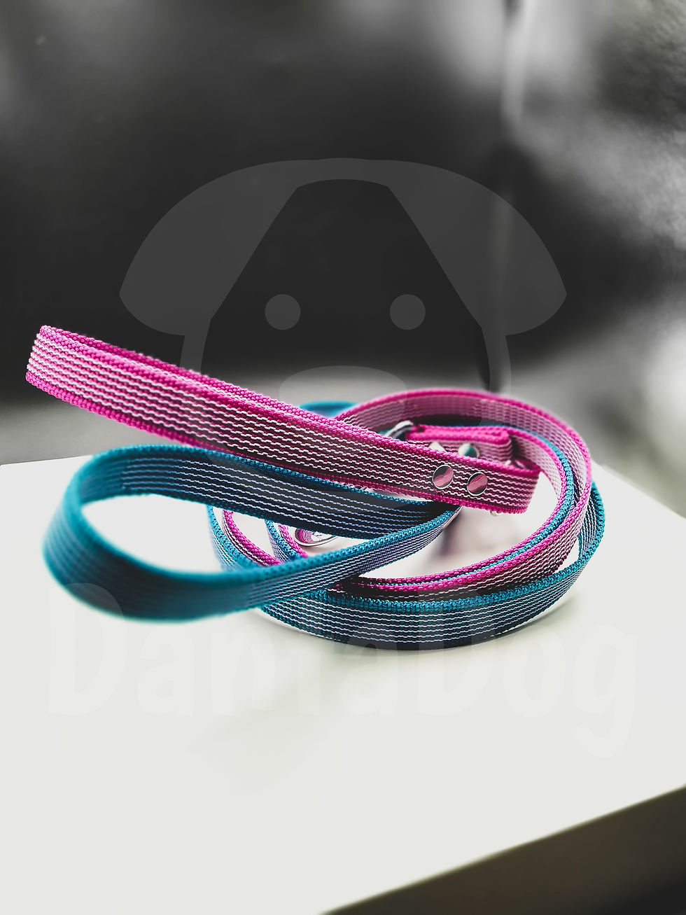 Miniature : Lijnen Webbing