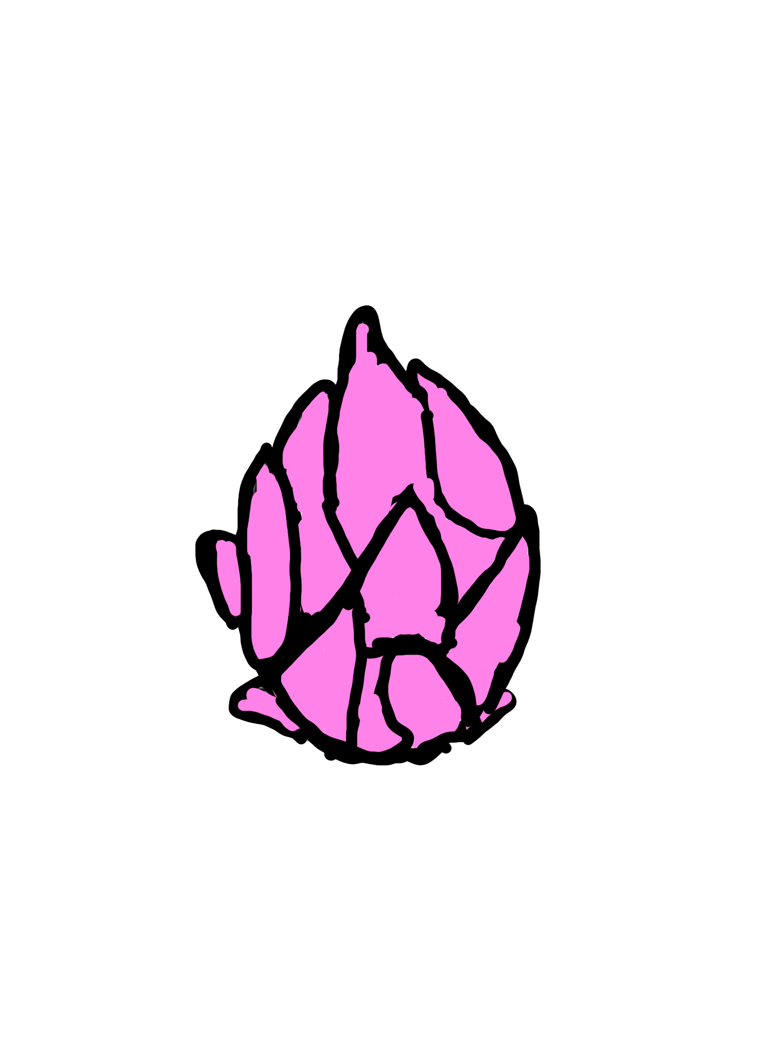 dragon fruit sticker