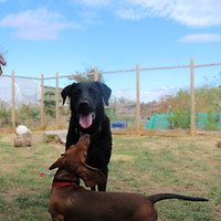 IMG_6151_edited.jpg