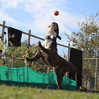 IMG_1058.JPG