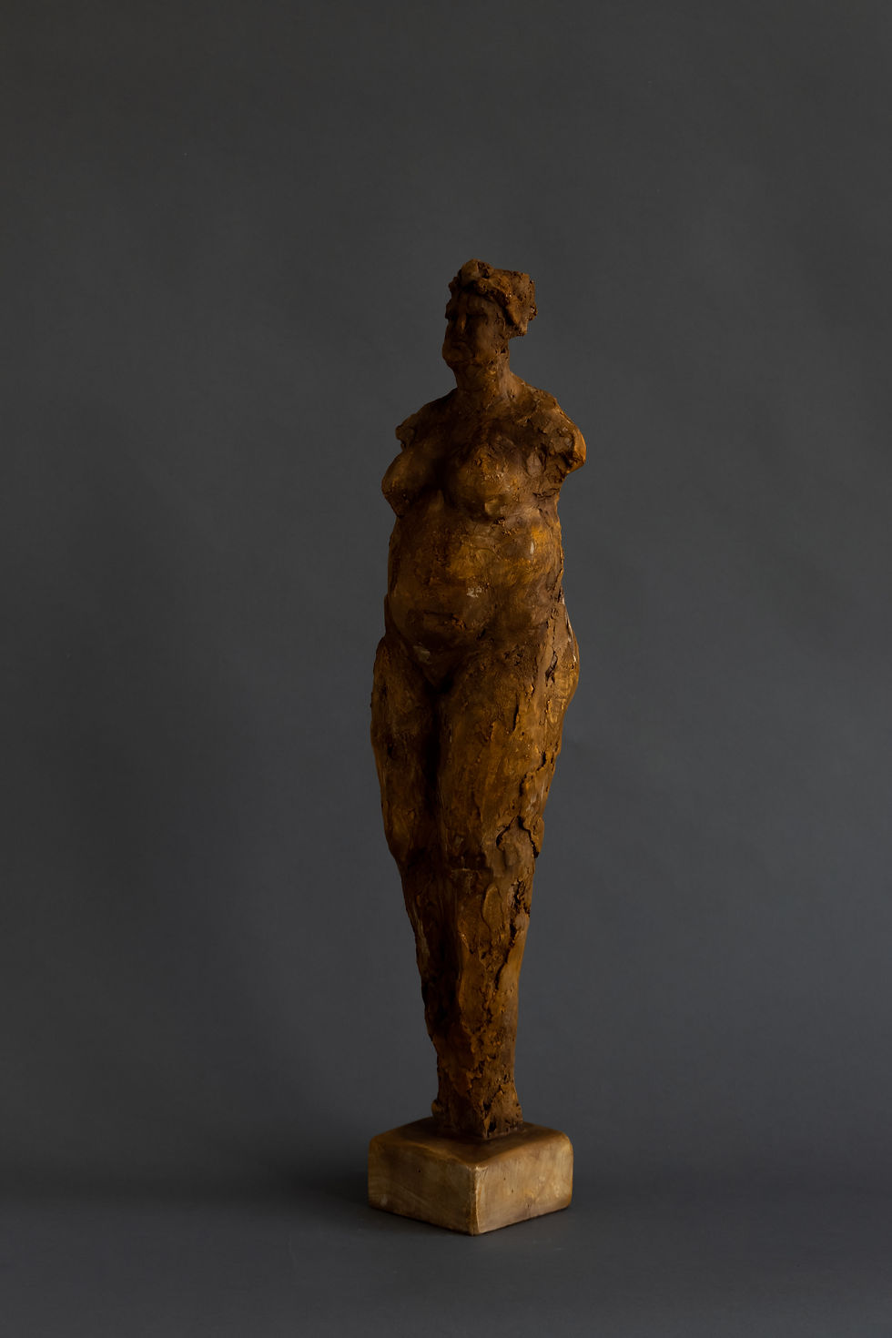 Thumbnail: figure no. 51 [22.5”]