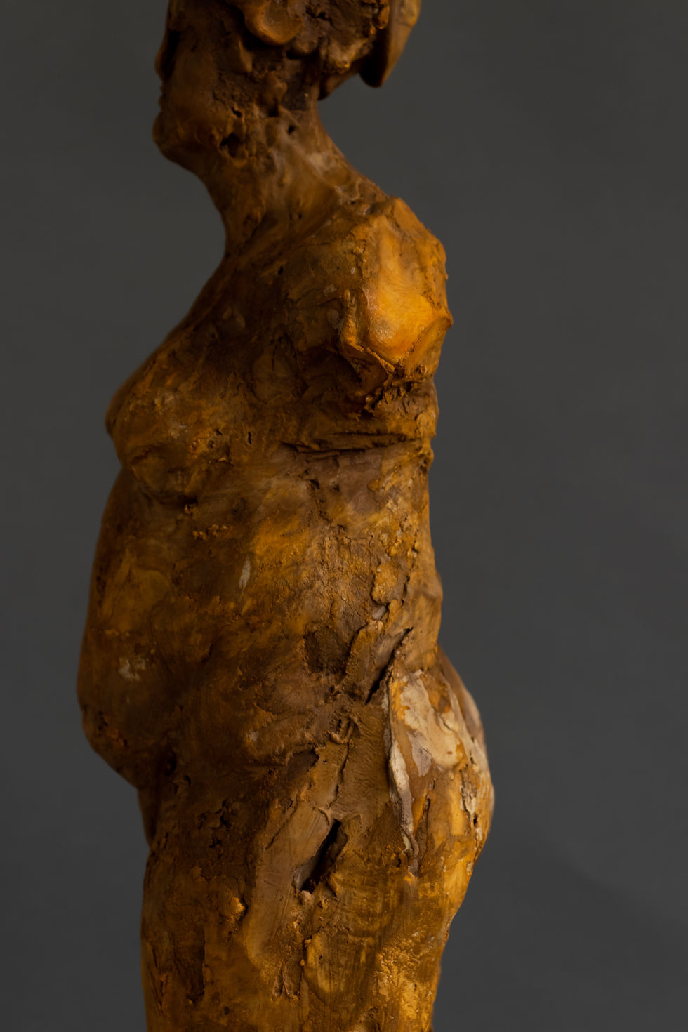 Thumbnail: figure no. 51 [22.5”]