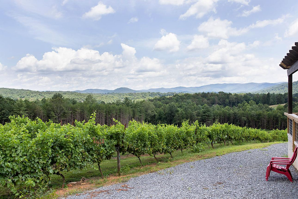 A North GA Winery