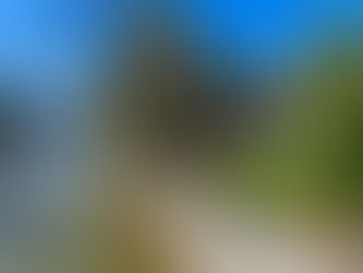 Flood Zones and Waterfront Property Risk in North Georgia