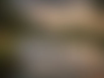 Are Waterfront Homes a Good Investment in North Georgia?