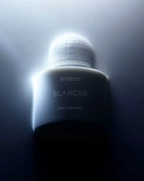 blanche-absolu.webp