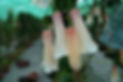 DSC09955.jpg