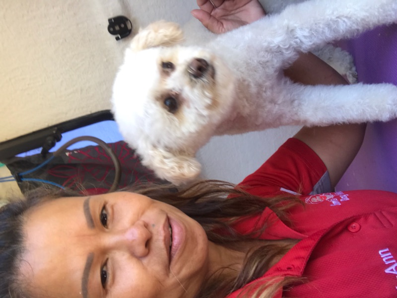 Mobile Dog Washing & Grooming | Jim's Dog Wash Sydney/Central Coast