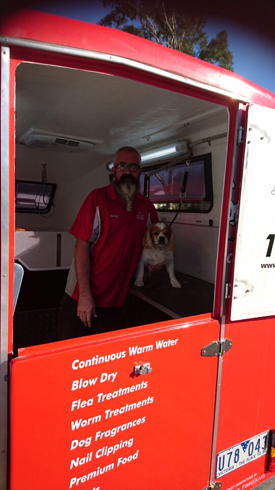 the dog wash near me