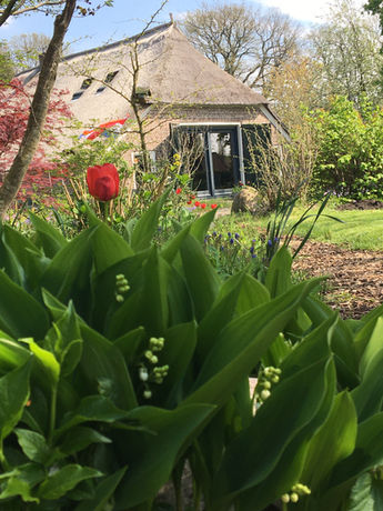 onze boerderij.jpeg