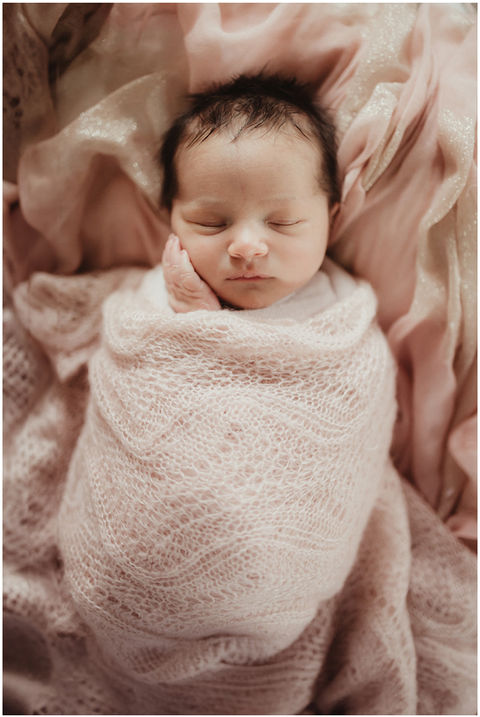 Northwest Indiana newborn photography