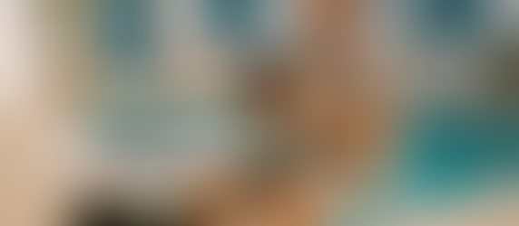 A Digital Nomad's Guide toTravel with Pets: Part Two