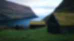 Moss Covered Cabins