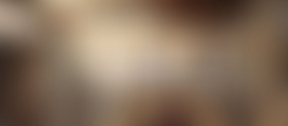 A Literary Sweet 16: The Best Bookstores in North America