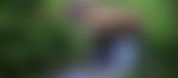 Fallingwater: A Masterpiece of Architecture and Nature