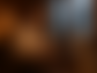 A Digital Nomad's Guide toTravel with Pets: Part Three